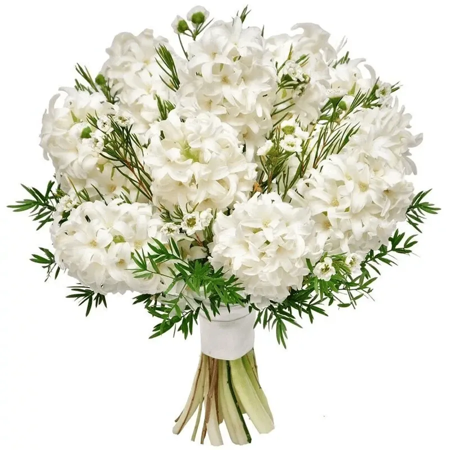 Гиацинты белые